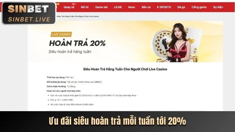 Giao diện đá gà thân thiện